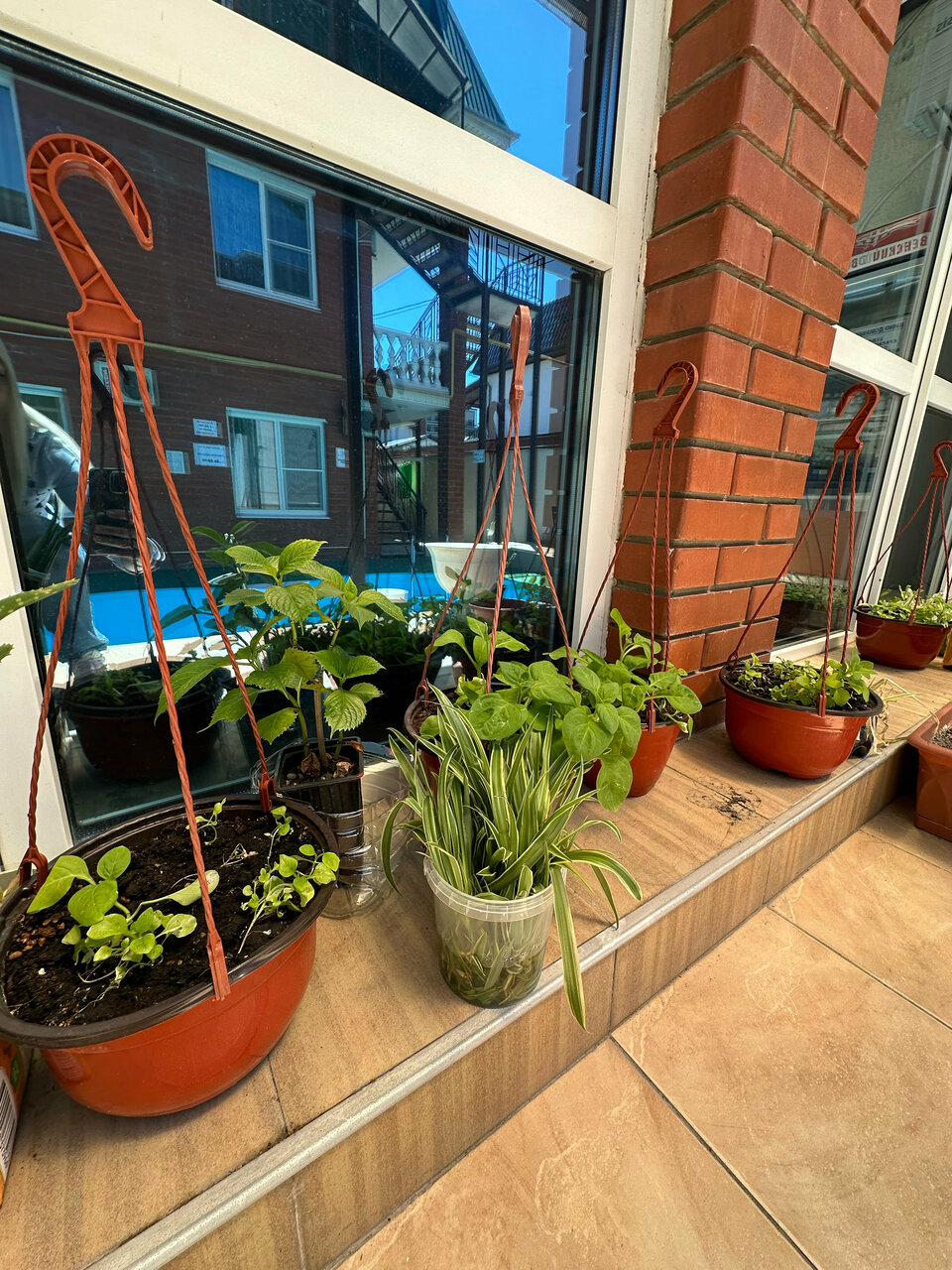 Гостевой дом Амиго Геленджик-133